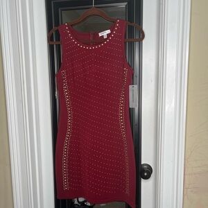 Roommates Burgundy Studded Mini Dress